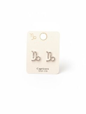 Capricorn Astrological Zodiac Sign Rhinestone Silver Earrings Dec 22 - Jan 19